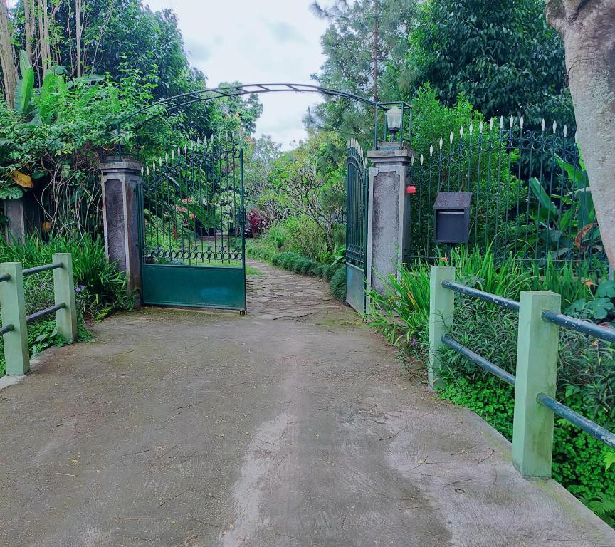 Fotografie z fotogalerie ubytování Rumah Sawah v destinaci Yogyakarta