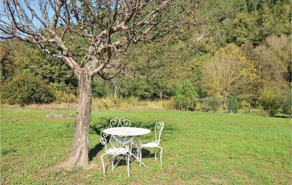 a table and chairs next to a tree in a field at Awesome Home In Bessges With Wifi in Bessèges