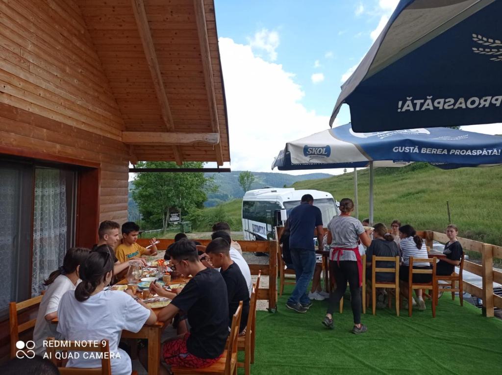 Hosté ubytování Cabana Ioana