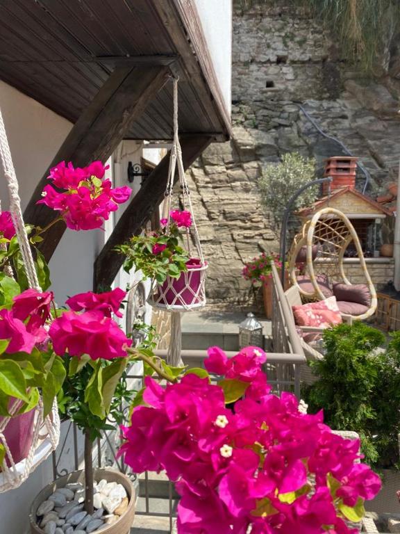 Zahrada ubytování Villa Aurelia Old Town