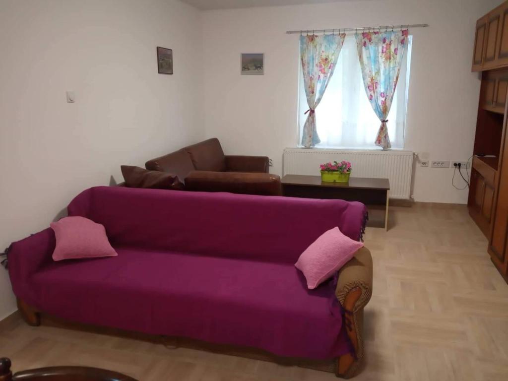 Posezení v ubytování Apartmani Petrović SEMČE Suva Planina
