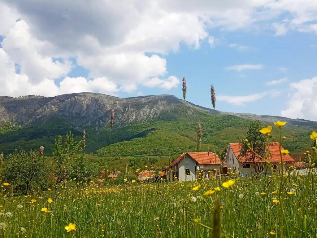 Nespecifikovaný výhled na hory nebo výhled na hory při pohledu z apartmánu