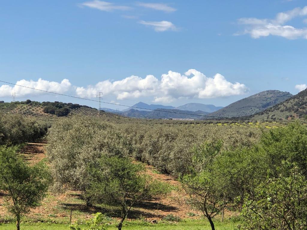 Príroda v okolí of the bed and breakfast