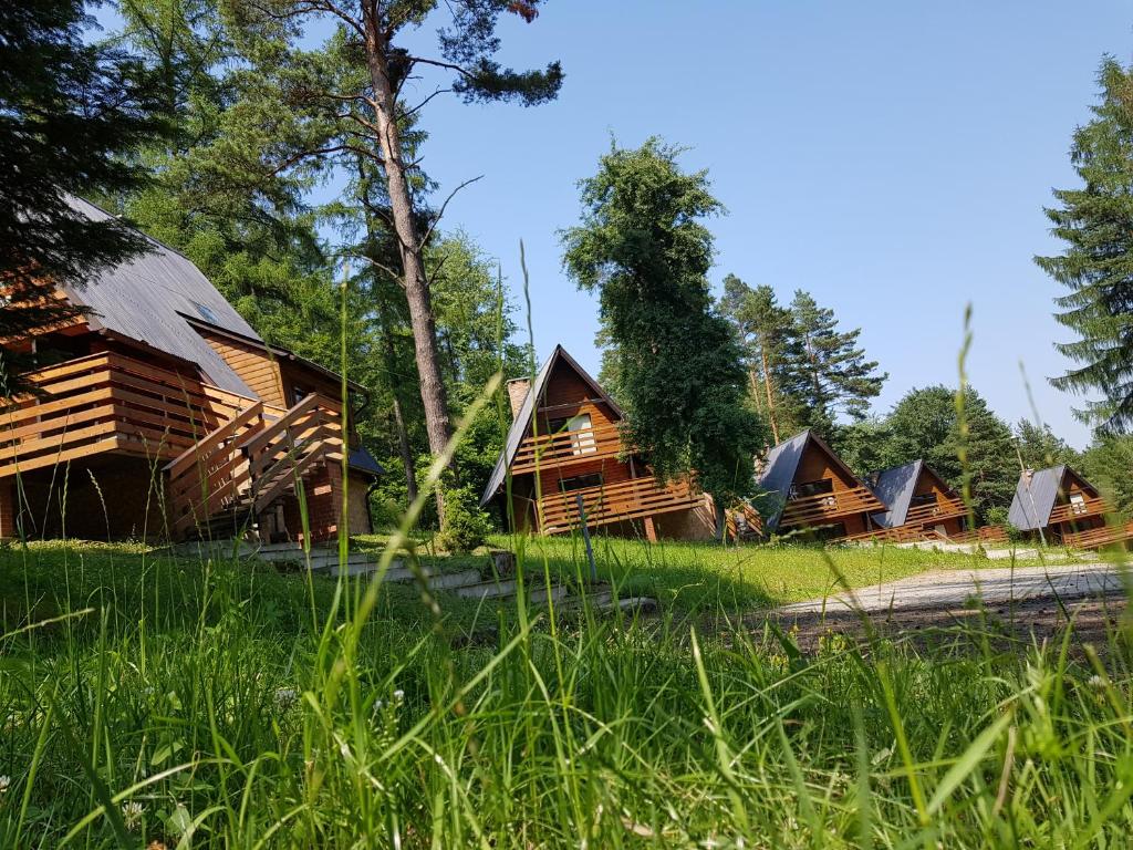 a row of cabins in a forest with tall grass at Ośrodek Wczasów Zdrowotnych Rudawka Rymanowska in Rudawka Rymanowska