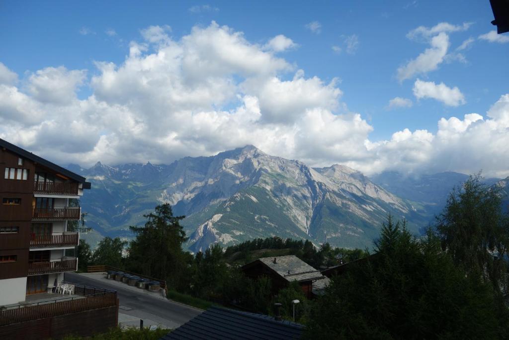 Pracondu 2 305 - OUTDOOR & FUN charming apartment - Resim 40