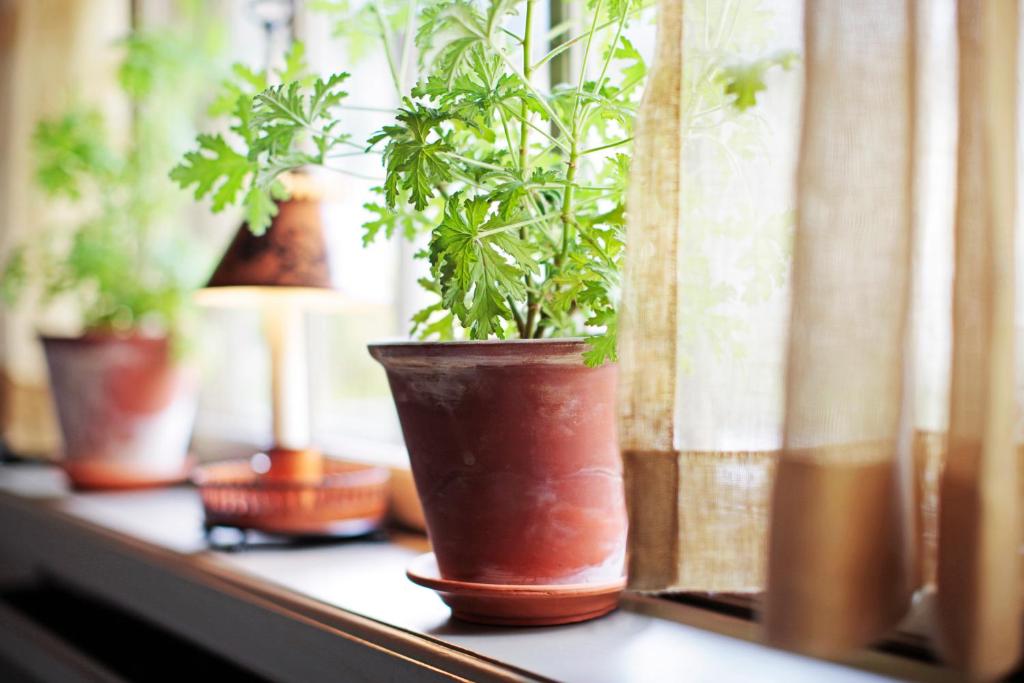 Stallmästaregården Hotel, Stockholm, a Member of Design Hotels - Resim 37