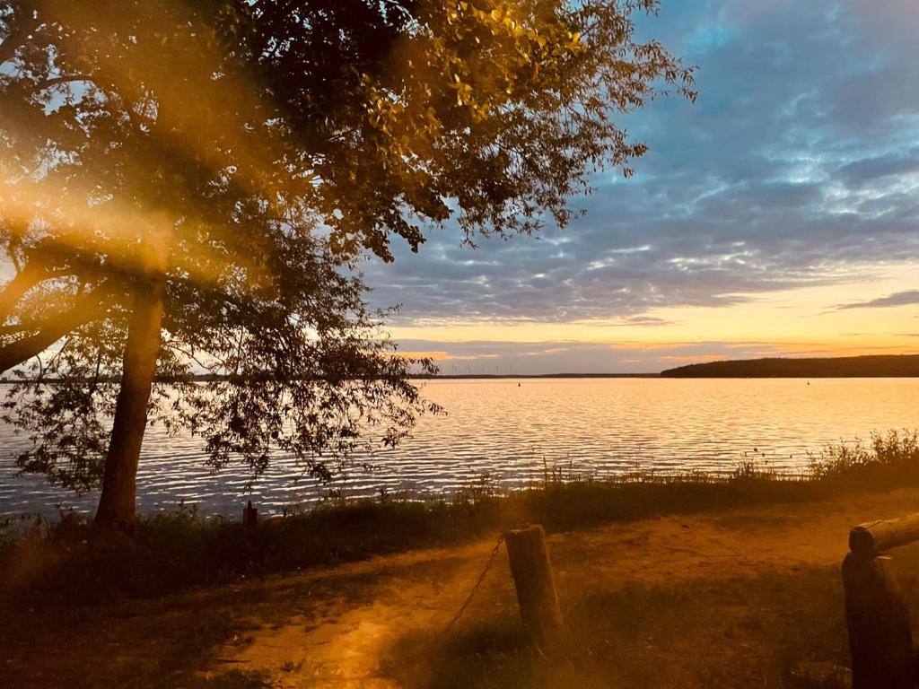 a sunset over a body of water with a tree at Zum Waldblick in Funfseen