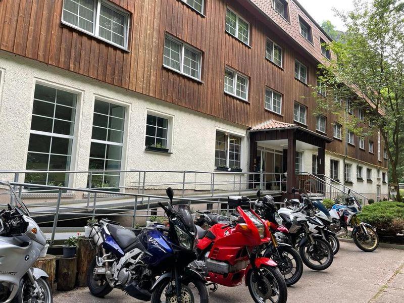 Fotografie z fotogalerie ubytování Waldhotel Harz Ilsenburg v destinaci Ilsenburg