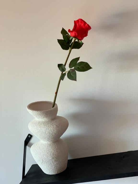 Fotografia z galérie ubytovania Appartement résidence Casablanca II v destinácii Adeje