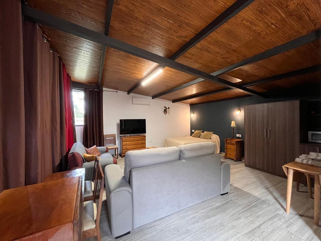 Televízia a/alebo spoločenská miestnosť v ubytovaní Apartamentos Rurales Casa Josefita
