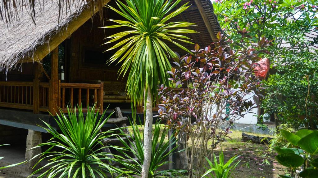 a palm tree in front of a house with plants at Utopia Homestay in Gili Islands