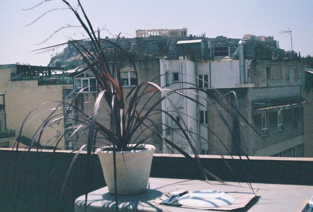 Mona Athens - Resim 20