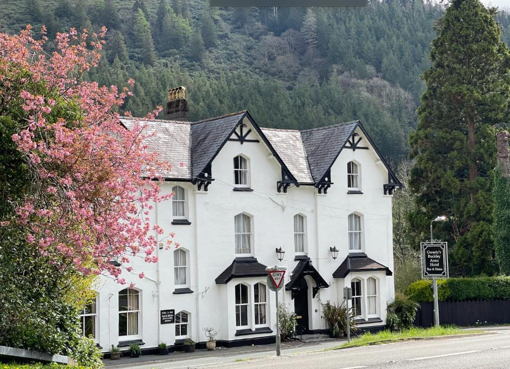 uma casa branca na berma de uma estrada em The Buckley Arms em Dinas Mawddwy