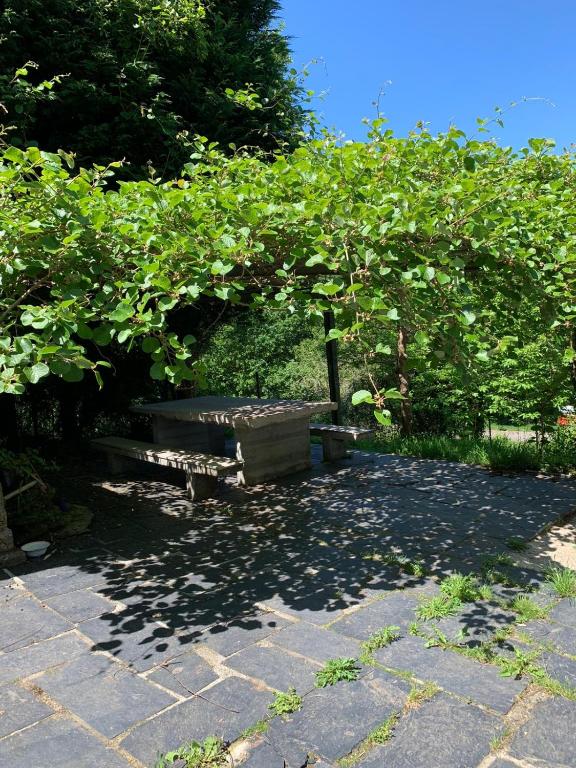A garden outside Finca in mitten der Natur.