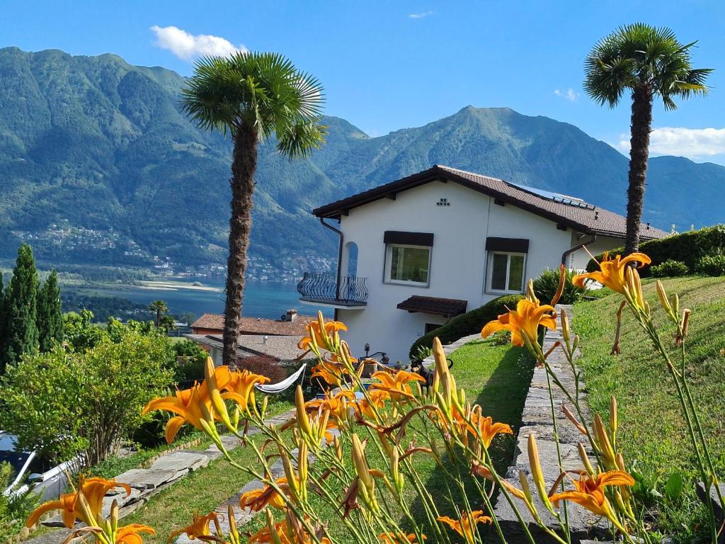 Příroda nedaleko apartmánu