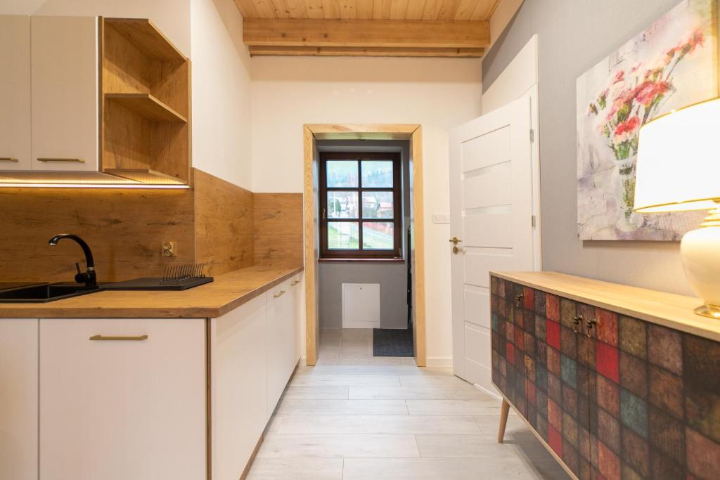 Kuchyňa alebo kuchynka v ubytovaní Apartament Liściasty 2 z widokiem na góry - Dream Apart