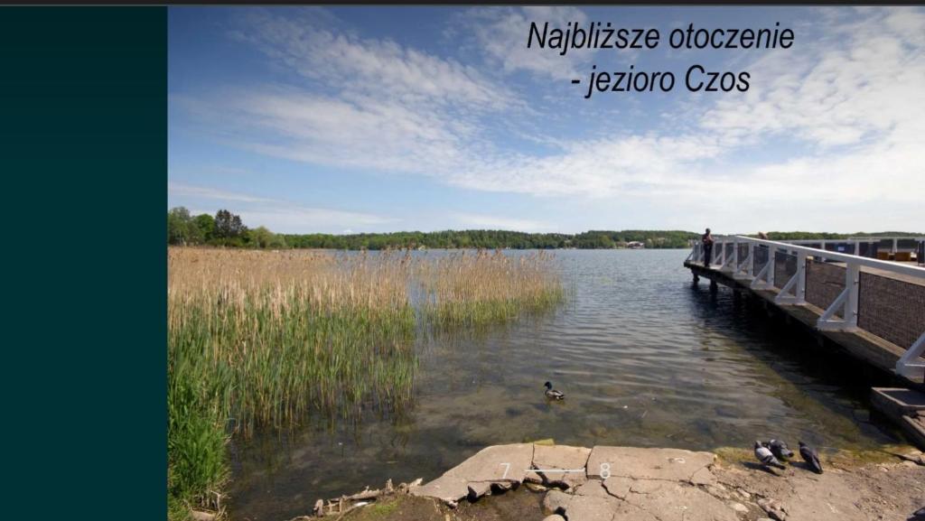Príroda v okolí apartmánu