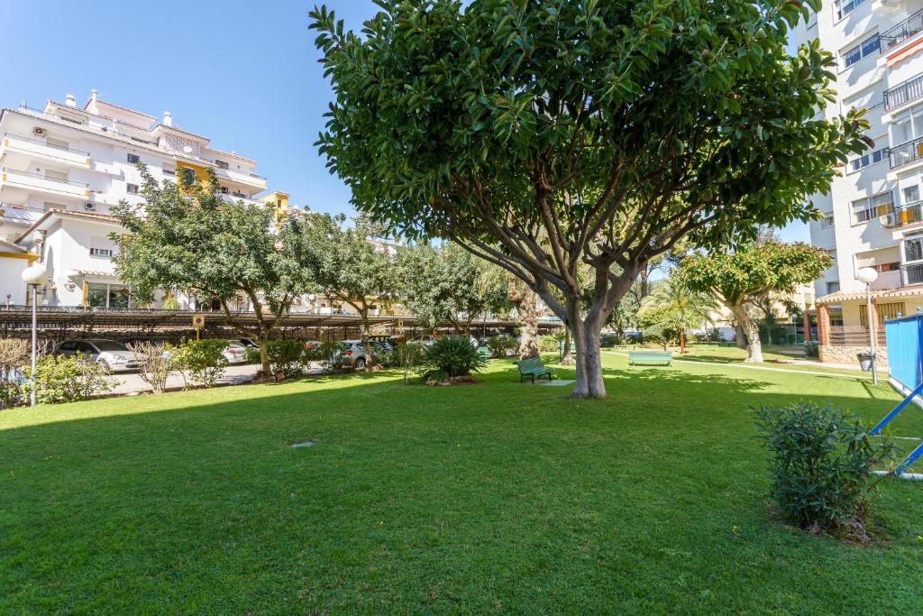 Vonkajšia záhrada v ubytovaní Apartment Acapulco 6