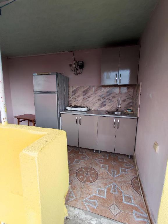 Kuchyň nebo kuchyňský kout v ubytování Kobuleti Guest House