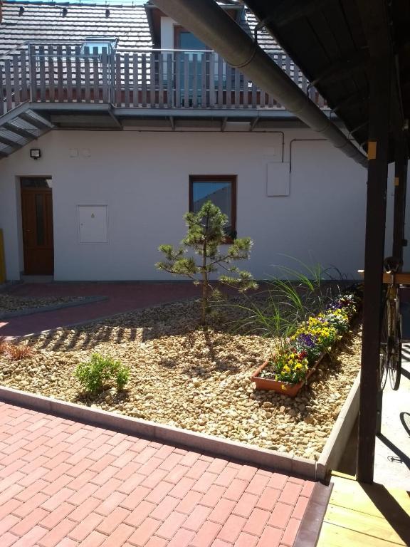 Zahrada ubytování Apartmány LoNo