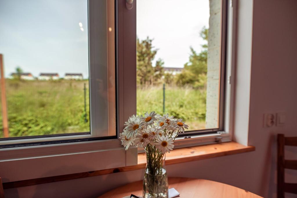 Zimna Apartments - One-Bedroom Apartment