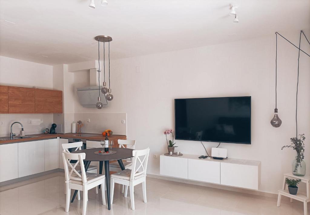 Televízia a/alebo spoločenská miestnosť v ubytovaní LUXURY APARTMENT MEJE