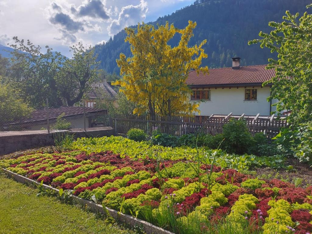 Zahrada ubytování Hotel Crusch Alba Sta Maria