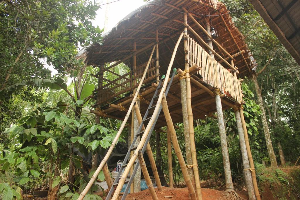 a tree house with a thatched roof at Wayanad Days in Mananthavady