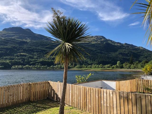 a palm tree next to a fence next to a lake at Heron’s View in Arrochar