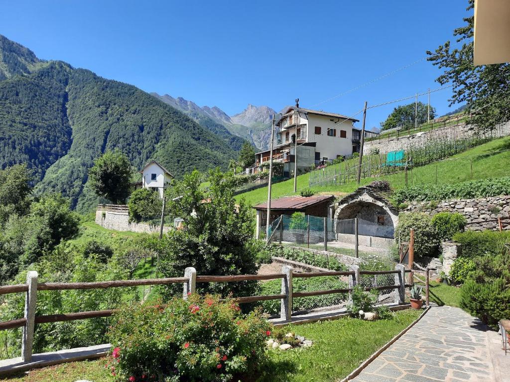 Príroda v okolí apartmánu