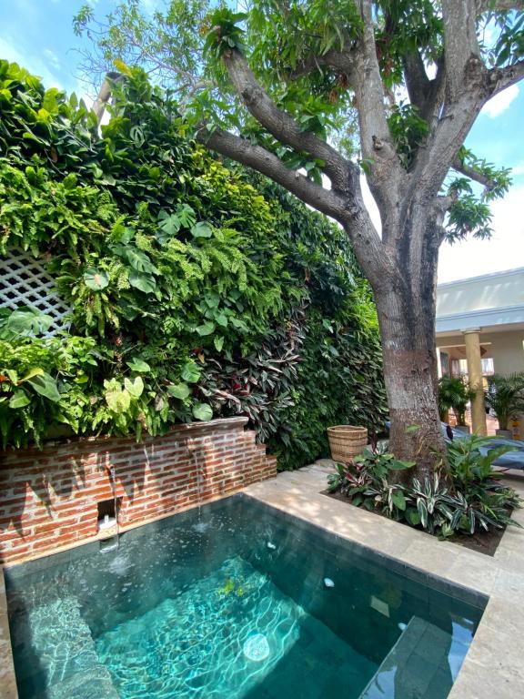 ein Pool im Garten mit einem Baum in der Unterkunft Casa Jaguar Hotel Boutique in Cartagena de Indias