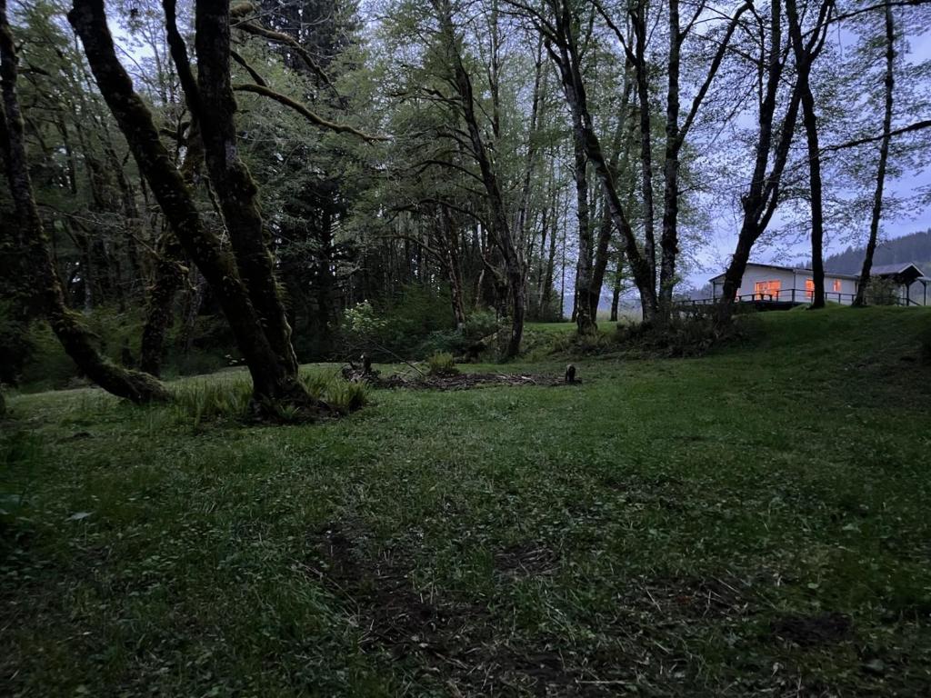 Příroda nedaleko prázdninového domu