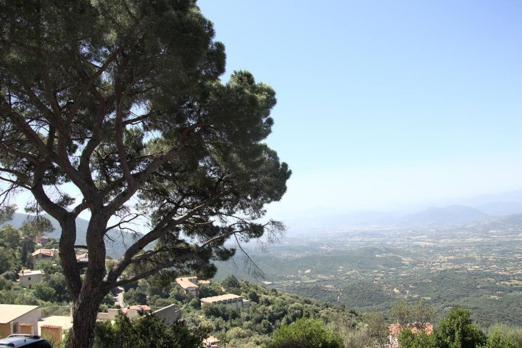 包內伊的住宿－Montecolcau Panoramic view，树上,山顶上,有山谷