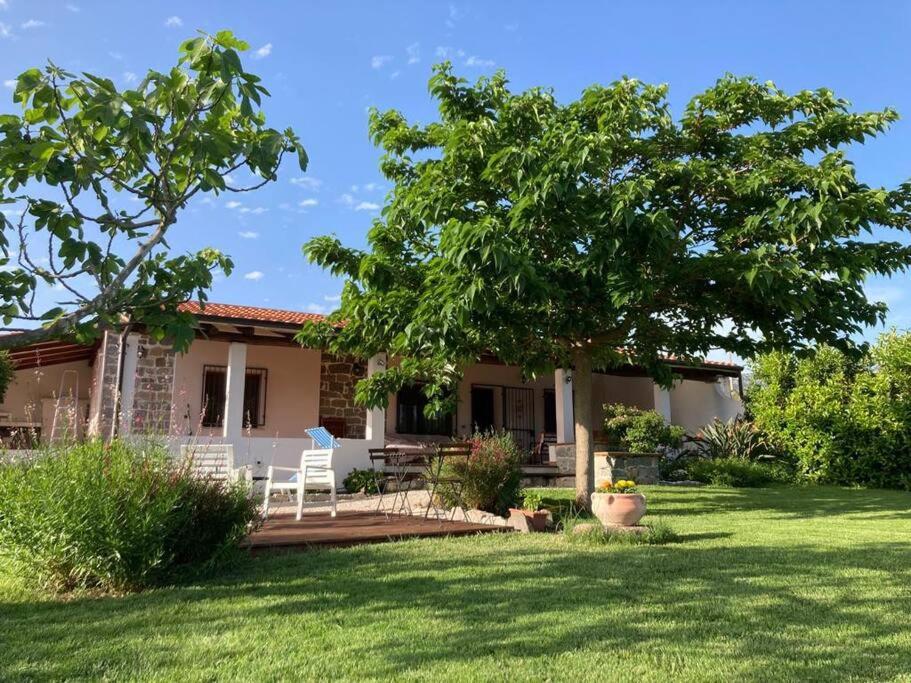 una casa con un patio con un árbol en Countryside villa in Sardinia en Triei