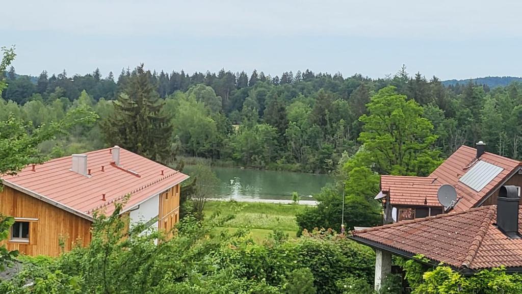 Příroda nedaleko hotelu