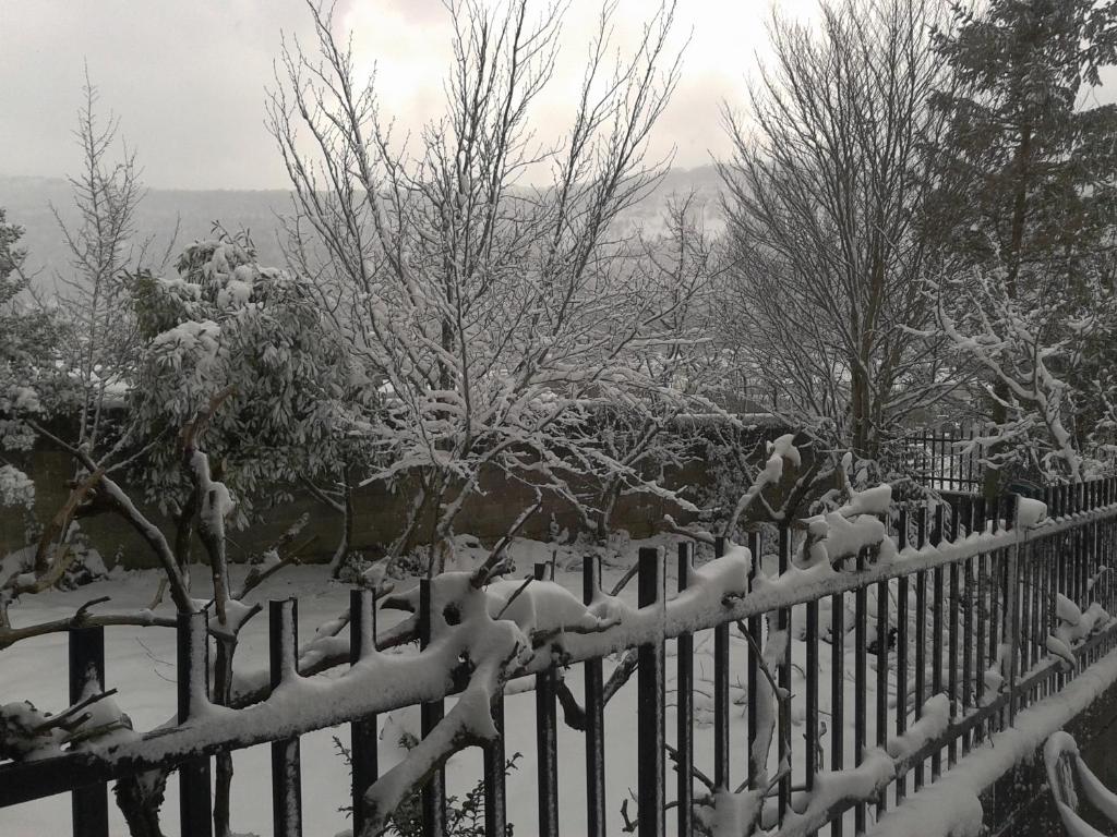 Apartamento Rural Arluzepe en invierno