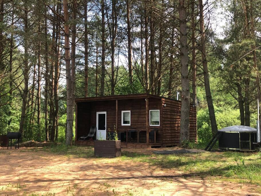 a small cabin in the middle of a forest at Forest cabin in Ozolaine