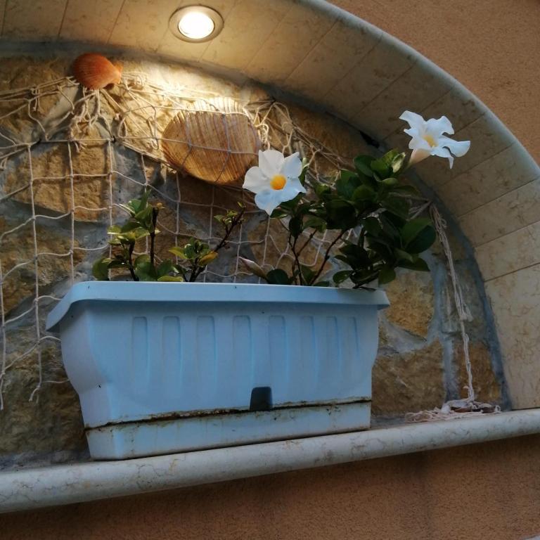 Imagem da galeria de Ivana home em Trapani
