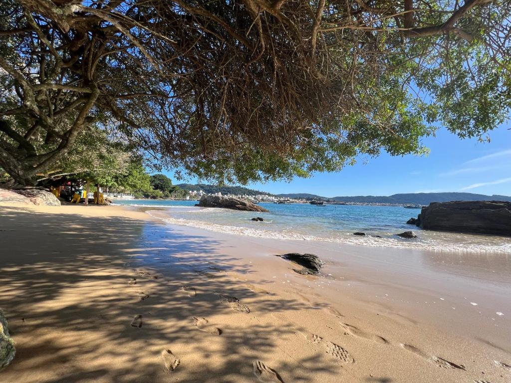 a sandy beach with a tree and the ocean at Refúgio da Lagoinha - Centro de Bombinhas in Bombinhas