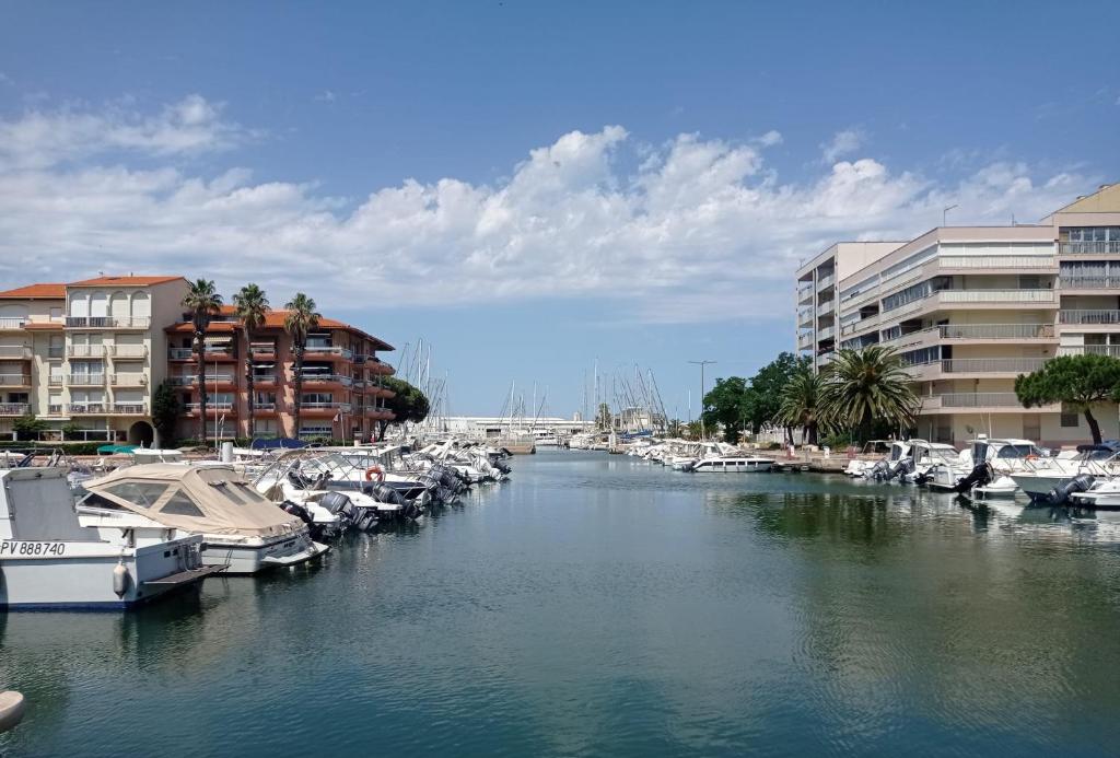 grupa łodzi zacumowanych w przystani obok budynków w obiekcie Superbe T3 climatisé calme Marina canet 2 min de la plage w mieście Canet-en-Roussillon