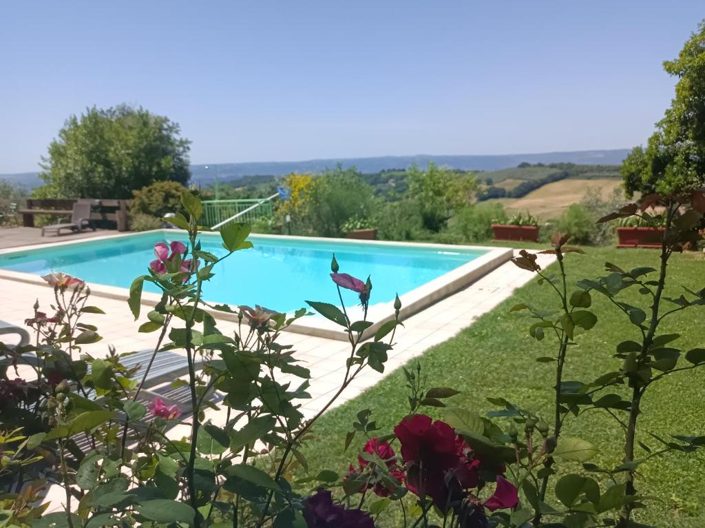 una piscina in un giardino fiorito di AgriHouse Orvieto a Morrano