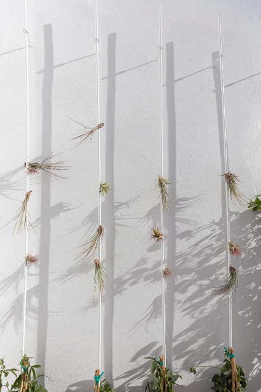 Fotografie z fotogalerie ubytování Ethos Vegan Suites ve Fiře