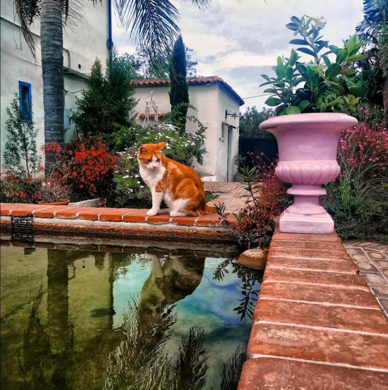 Derechos de imagen reservados por Booking.com