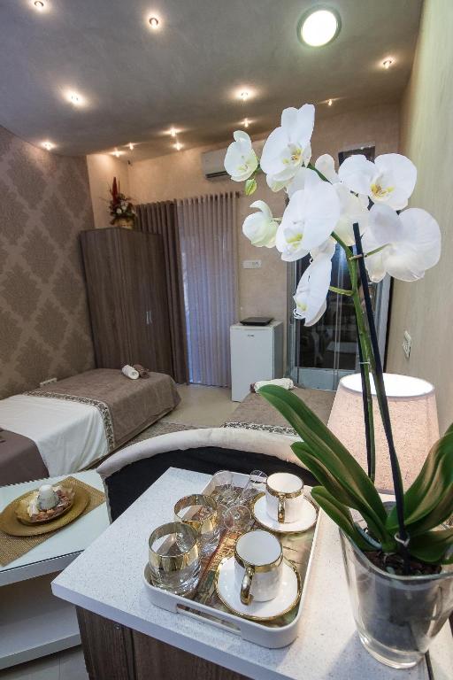 Apartments Lidija - Appartamento Monolocale