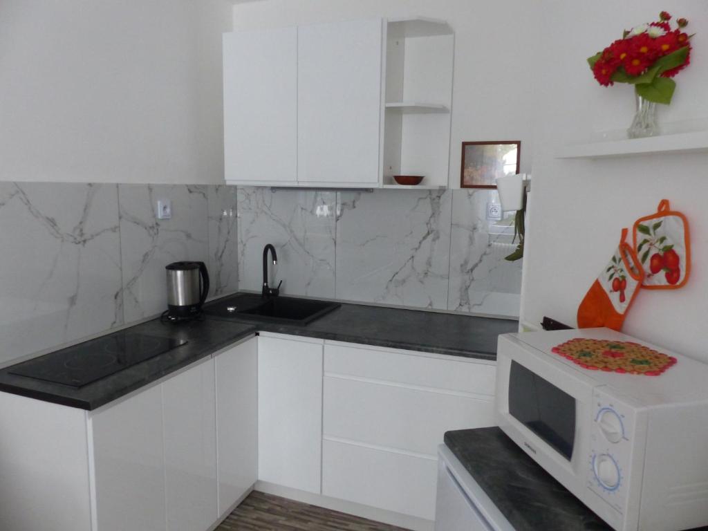 eine weiße Küche mit einer Spüle und einer Mikrowelle in der Unterkunft Apartmány Plischke in Lipová-lázně