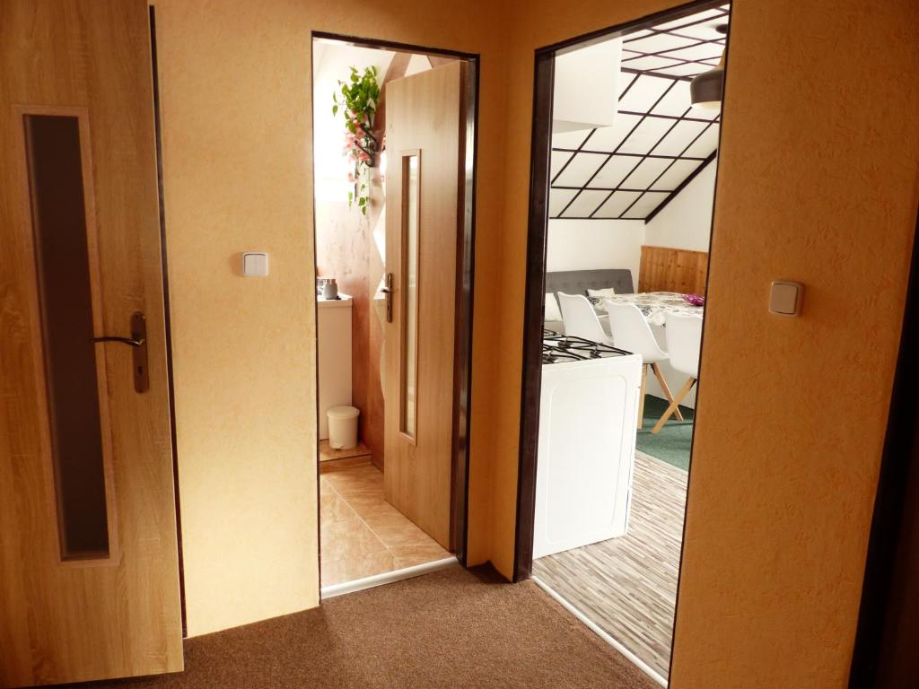 Kuchyň nebo kuchyňský kout v ubytování Apartmány Plischke
