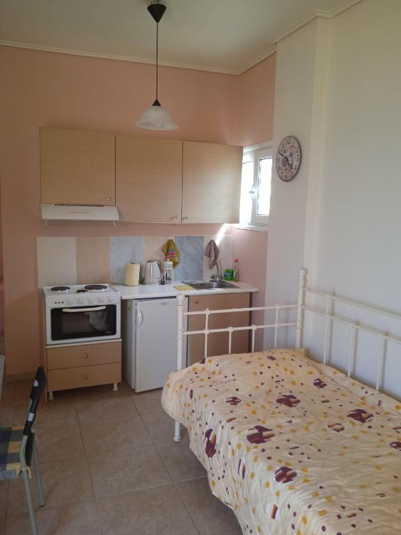 Kuchyň nebo kuchyňský kout v ubytování Villa Constantsia