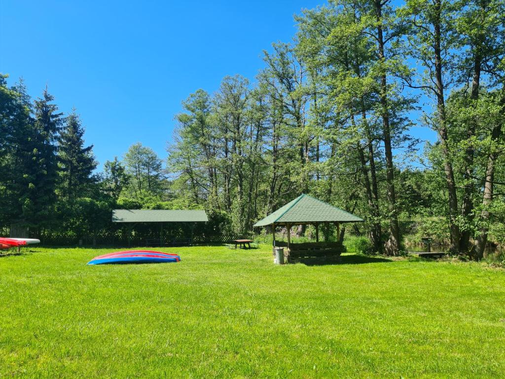 frisbee leżące na trawie na polu w obiekcie Apartament nad BRDĄ , agroturystyka. w mieście Raciąż