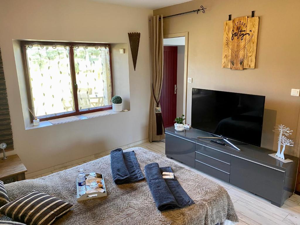 Televízia a/alebo spoločenská miestnosť v ubytovaní Gîte entièrement rénové Bord de Sèvre