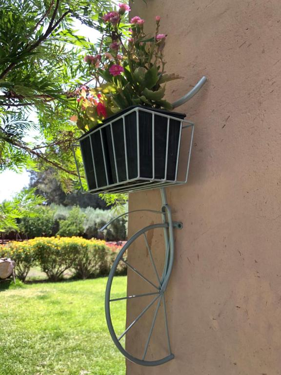 Zahrada ubytování Teacook Marrakech